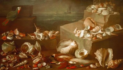 Stillleben mit Schnecken und Muscheln von Jan Davidsz de Heem